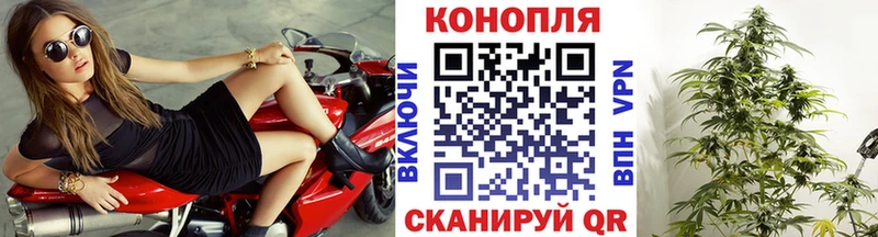 Бошки марихуана планчик Северск